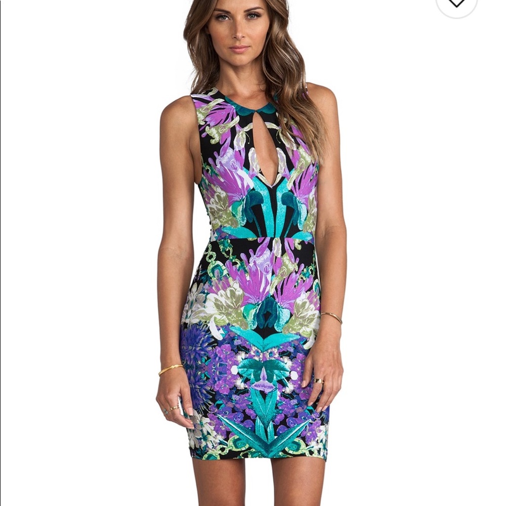 Nookie Floral Dress